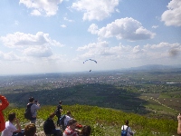 p1190597.jpg