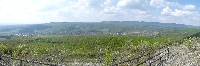 p1190656.jpg