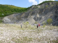 p1190663.jpg