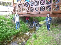 p1190686.jpg