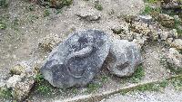 dscf5717.jpg