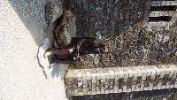 dscf5768.jpg