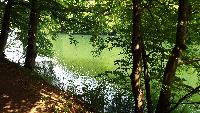dscf5809.jpg