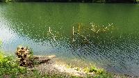 dscf5811.jpg