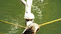 dscf5851.jpg