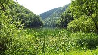 dscf5860.jpg