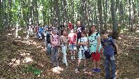 dscf6118.jpg