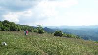 dscf6261.jpg