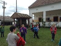 img_5500.jpg