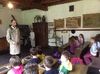 img_5552.jpg
