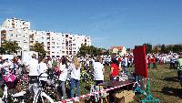 dscf0785.jpg