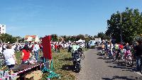 dscf0786.jpg