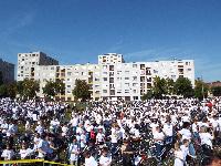 dscf0834.jpg