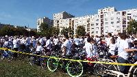 dscf0890.jpg