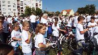 dscf0965.jpg