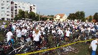 dscf1261.jpg