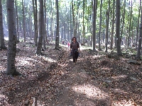 sam_4949.jpg