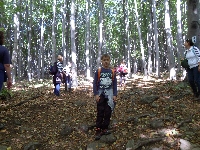 sam_4958.jpg