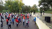 dscf1504.jpg
