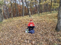 sam_3704.jpg