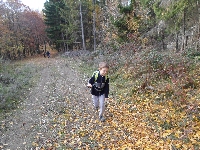 sam_3720.jpg