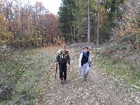 sam_3722.jpg