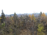 sam_3780.jpg