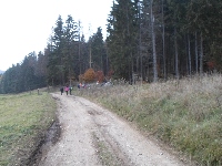 sam_3811.jpg