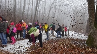 dsc00135.jpg