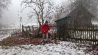 dsc00139.jpg