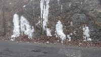 dsc00177.jpg