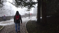 dsc00181.jpg