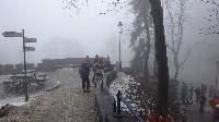 dsc00185.jpg