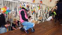 dscf4653.jpg