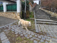sam_4477.jpg