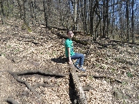 sam_4856.jpg