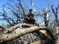 sam_4873.jpg