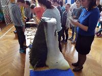 dscf5770.jpg