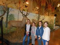 dscn6863.jpg