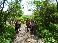 sam_5870.jpg