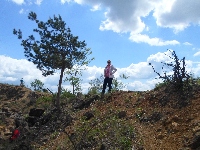 sam_5890.jpg