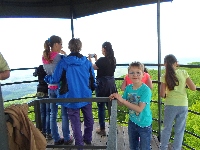 sam_5954.jpg