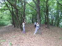 sam_5964.jpg