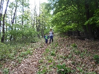 sam_5968.jpg