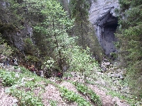sam_6091.jpg