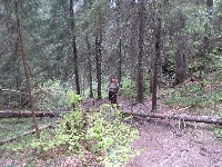 sam_6136.jpg