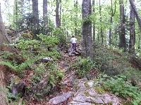 sam_6162.jpg