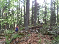 sam_6166.jpg