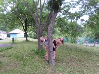 sam_6385.jpg