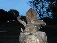 sam_6445.jpg